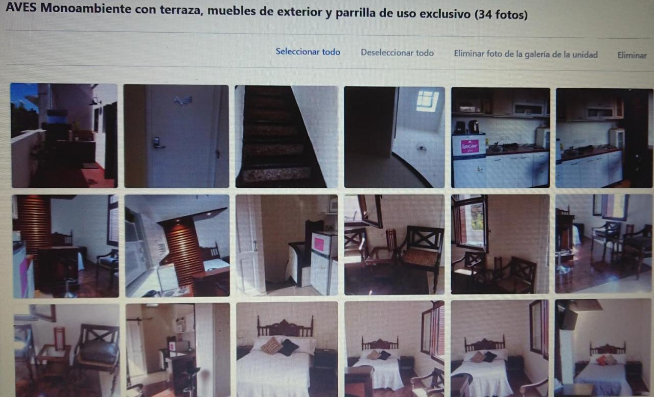534 Petit San Telmo - Studio & Suites Buenos Aires Zewnętrze zdjęcie